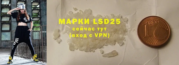 хмурый Корсаков