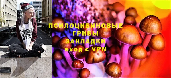 spice Армянск