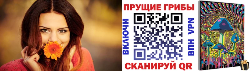 Галлюциногенные грибы Psilocybine cubensis  мега зеркало  сайты даркнета состав  Пустошка 